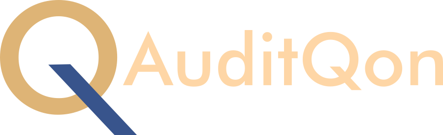 AuditQon logo